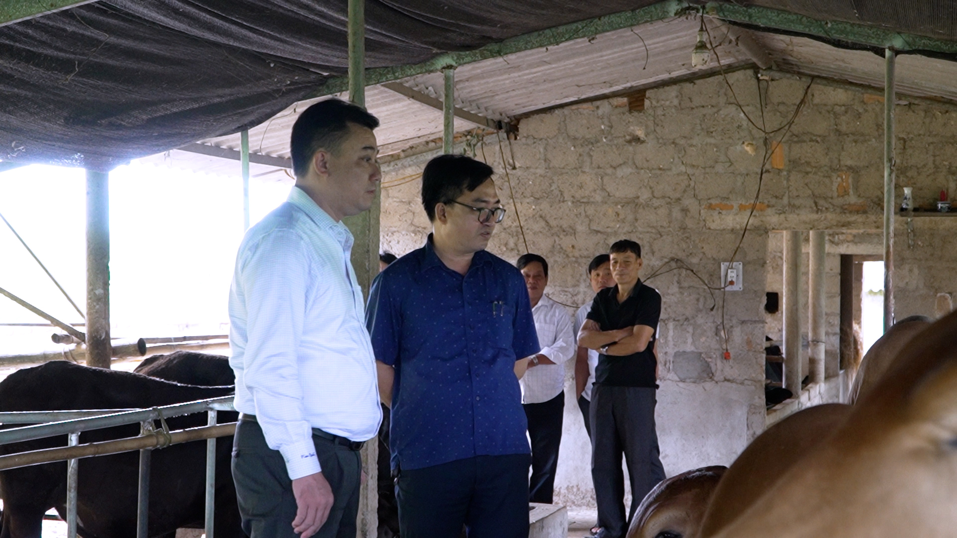 Lãnh đạo UBND phường Quảng Trị khảo sát, đánh giá các mô hình sản xuất nông nghiệp trên địa bàn