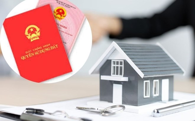 Quyết định số 993 ngày 14/07/2026 của UBND phường Quảng Trị Về việc giao đất và cấp GCN QSD 
cho Ông L Văn Trung và Bà Võ Thị Cam